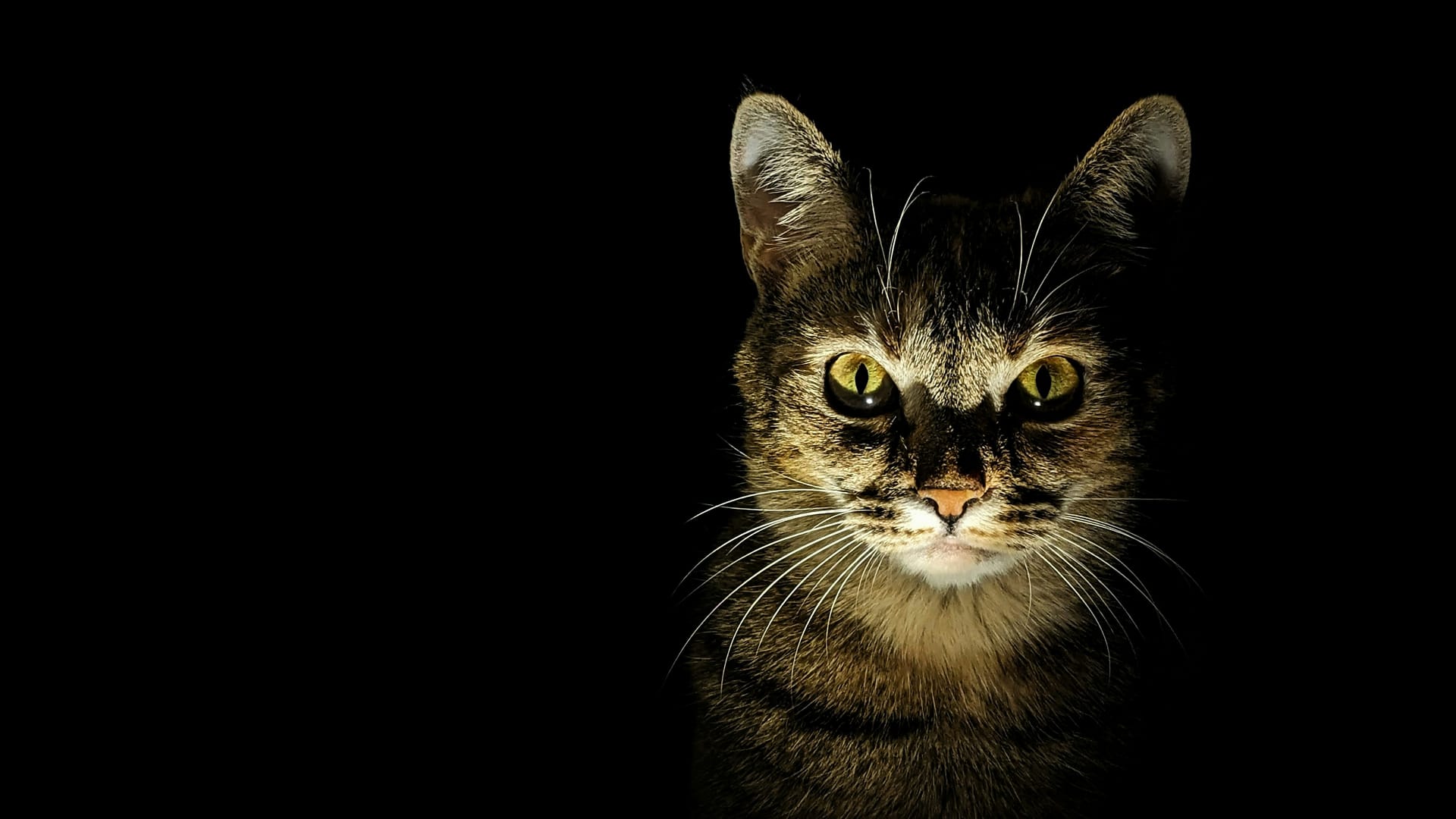 i ℏ ∂/∂tψ(r,t)=-(ℏ 2 /2m)∇ 2ψ(r,t)+U(r)ψ(r,t) (Schrodinger’s Equation)